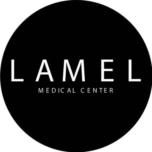 logo-of-LAMEL-v3